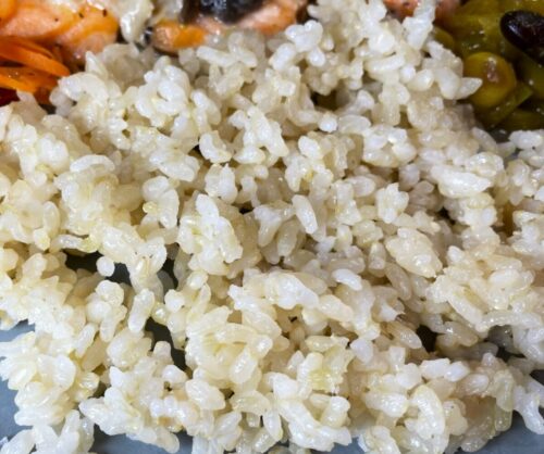リセルデリカ低糖質玄米